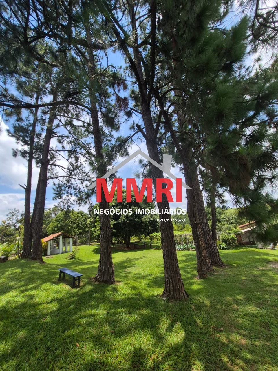 Sítio, 2 hectares - Foto 35