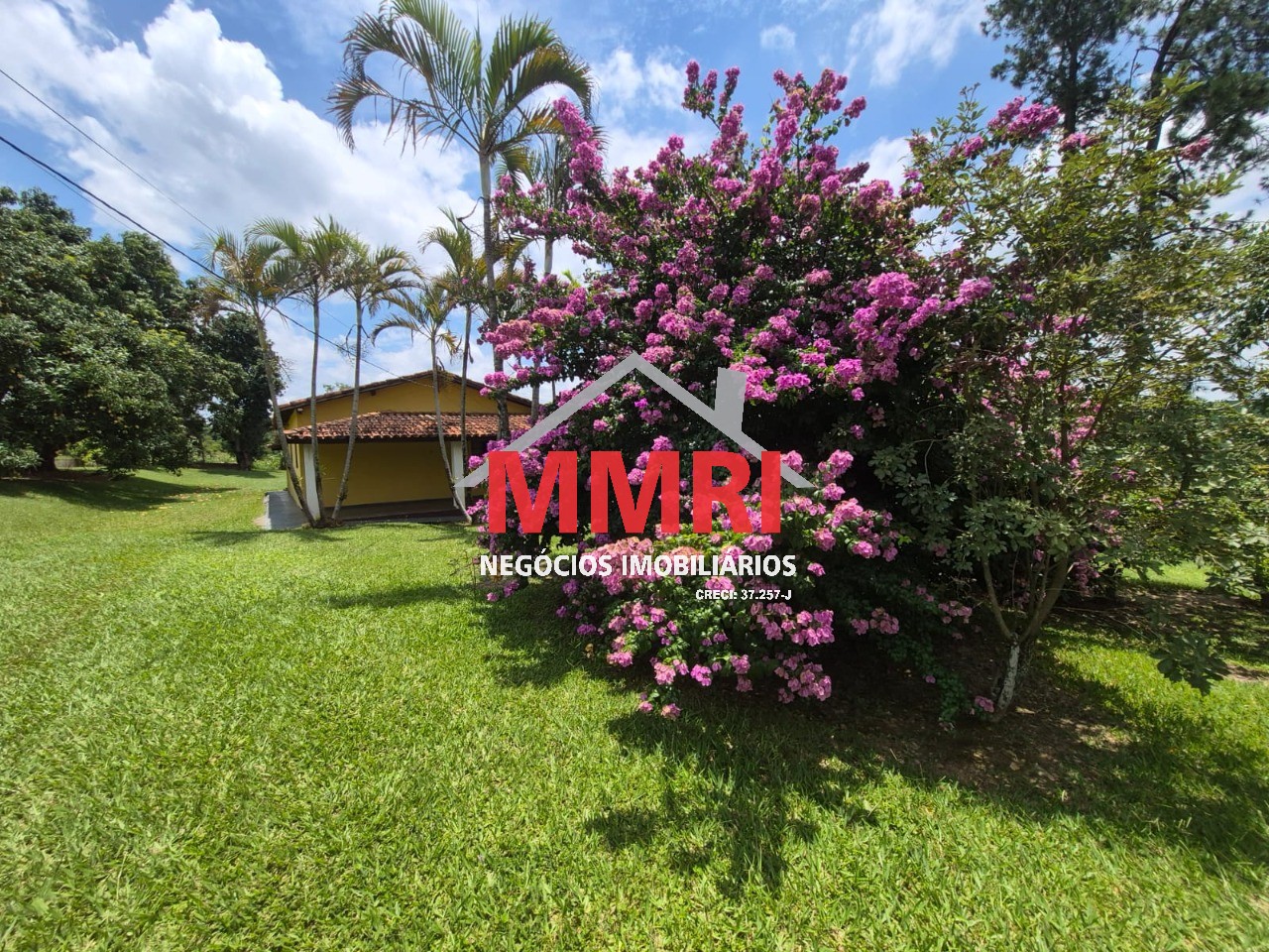 Sítio, 2 hectares - Foto 33