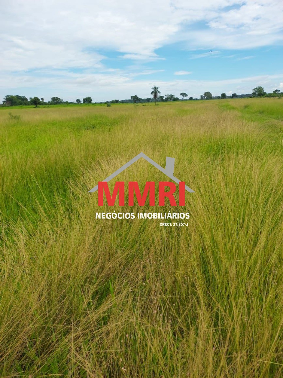 Fazenda, 512 m² - Foto 7