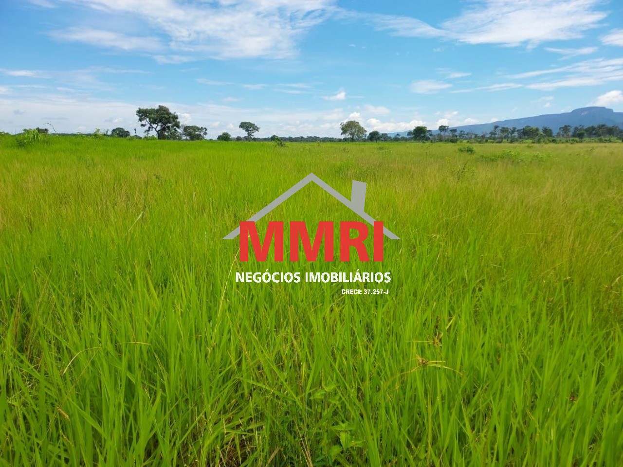 Fazenda, 512 m² - Foto 2