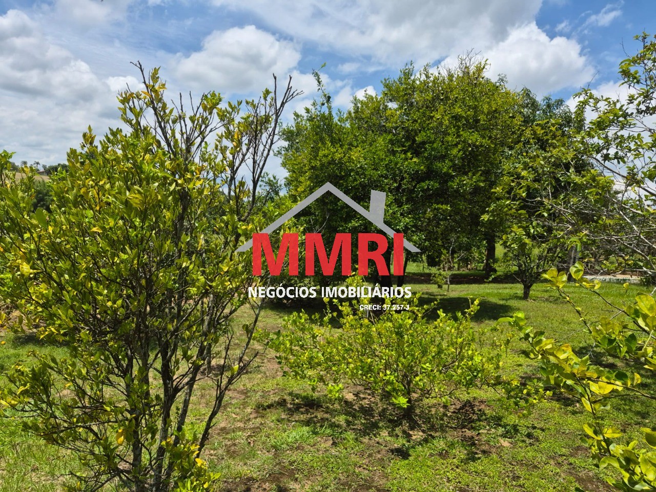 Sítio, 2 hectares - Foto 9