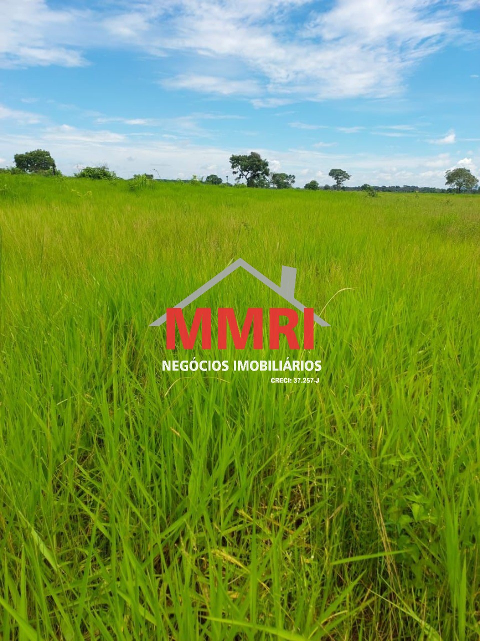 Fazenda, 512 m² - Foto 4