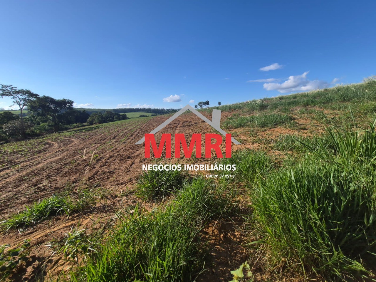 Sítio, 1 m² - Foto 7