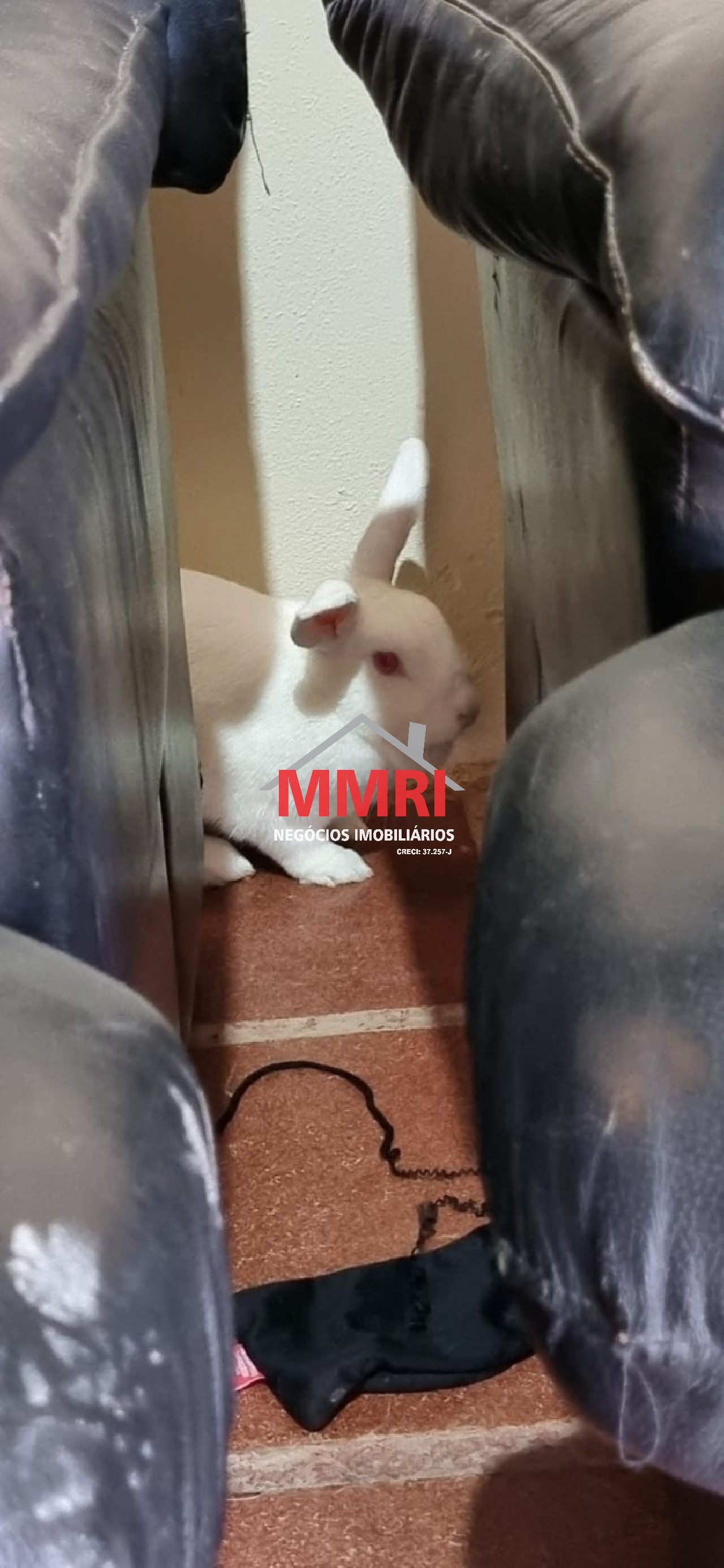 Chácara, 1 quarto - Foto 16