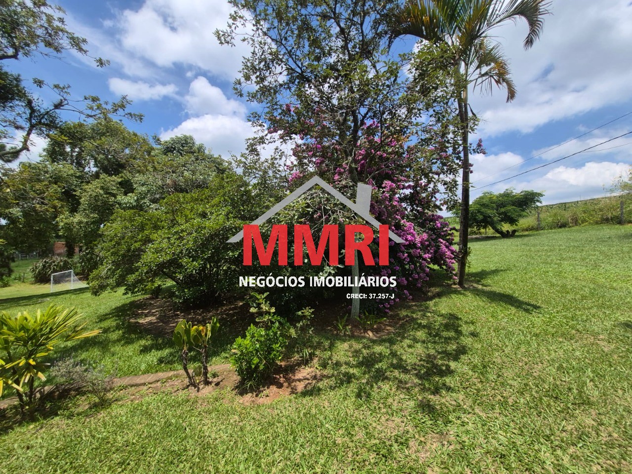 Sítio, 2 hectares - Foto 37