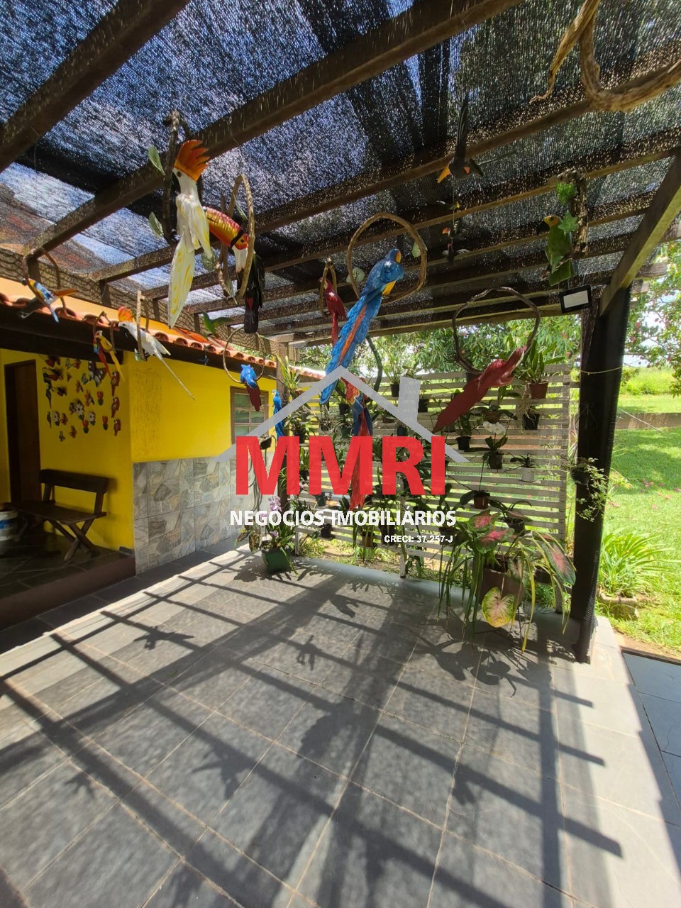 Sítio, 2 hectares - Foto 18