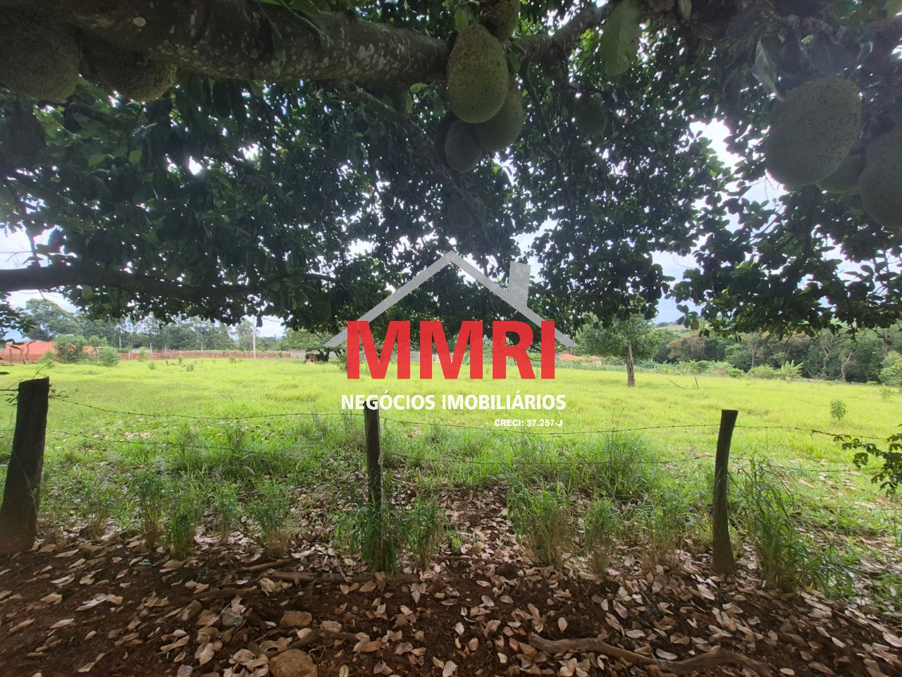 Terreno, 2 hectares - Foto 5