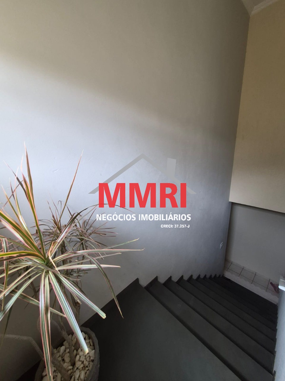 Casa, 3 quartos - Foto 19