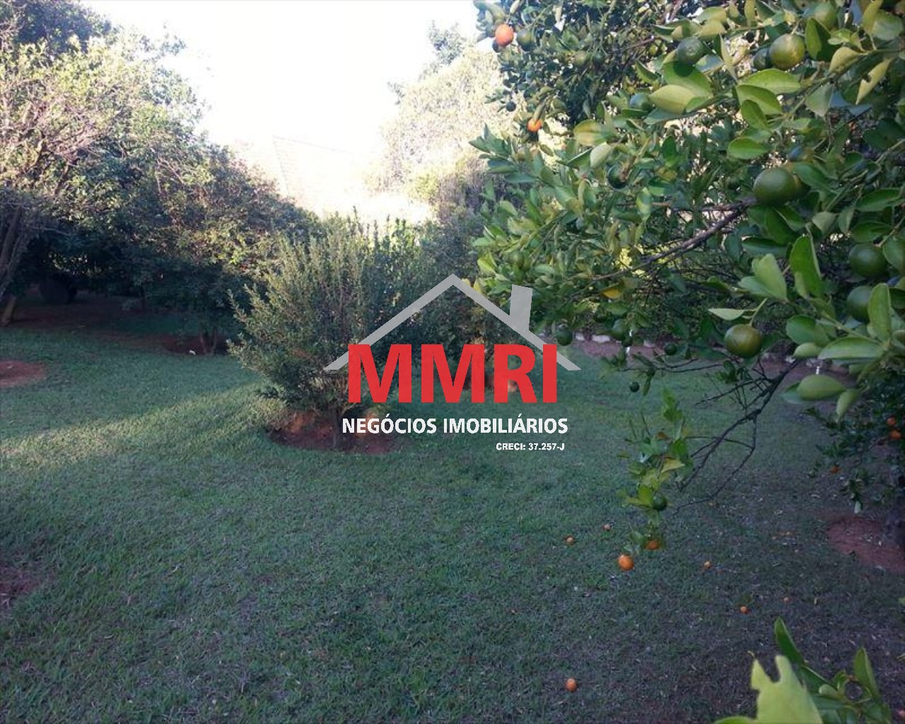 Chácara, 3 quartos, 1000 m² - Foto 15