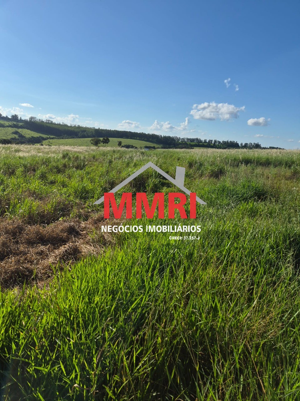 Sítio, 1 m² - Foto 5