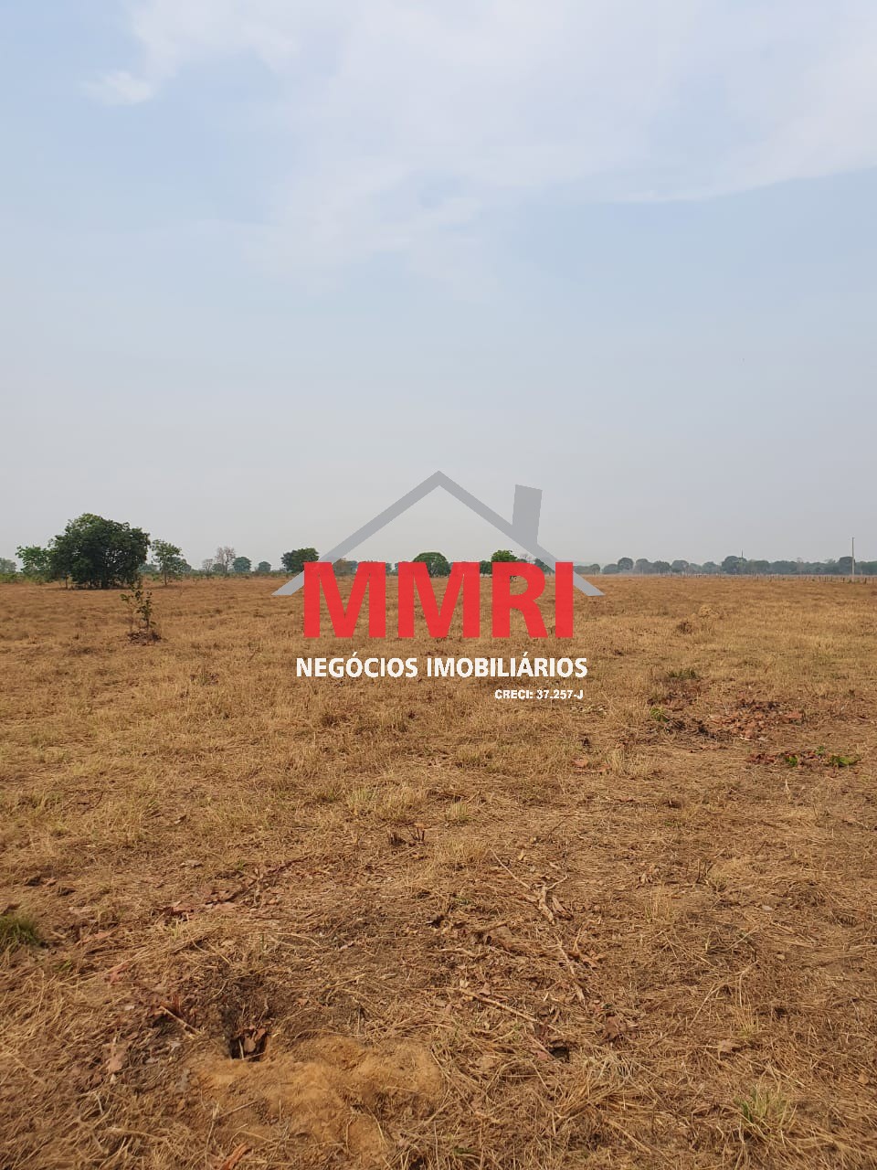 Fazenda, 8 hectares - Foto 22