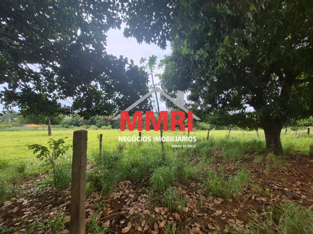 Terreno, 2 hectares - Foto 3