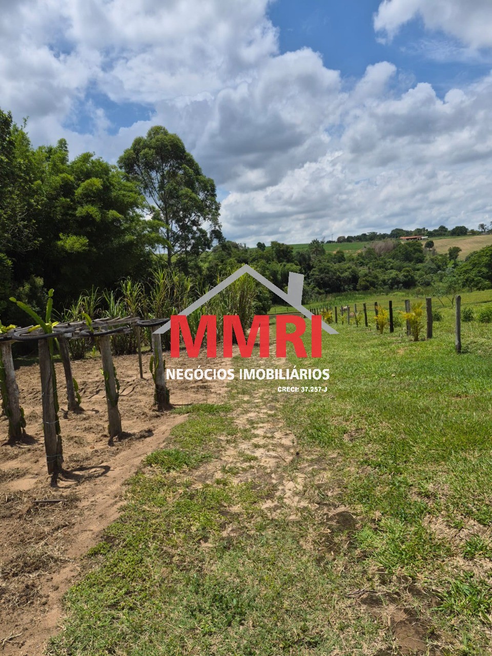 Sítio, 2 hectares - Foto 10