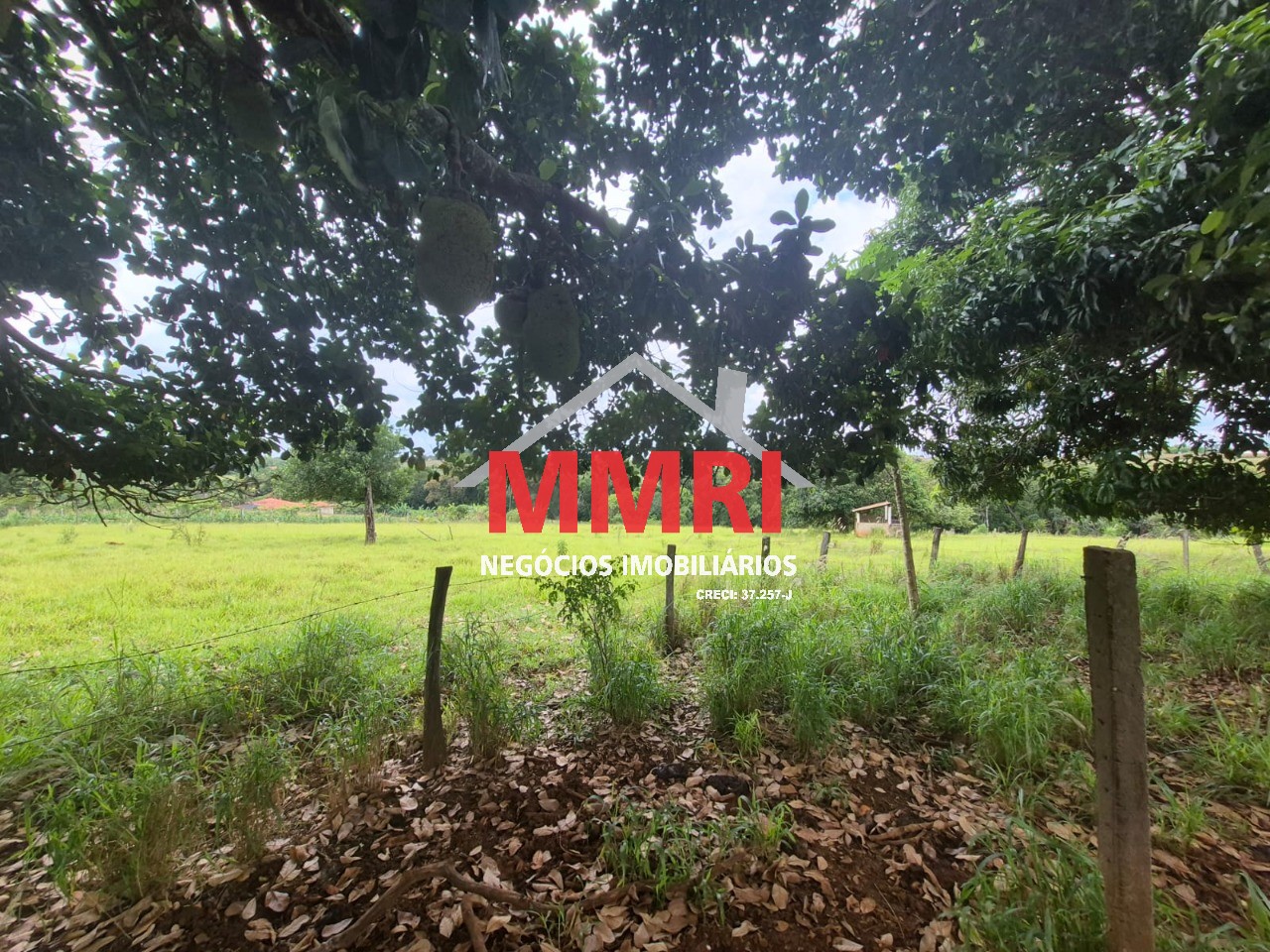 Terreno, 2 hectares - Foto 1