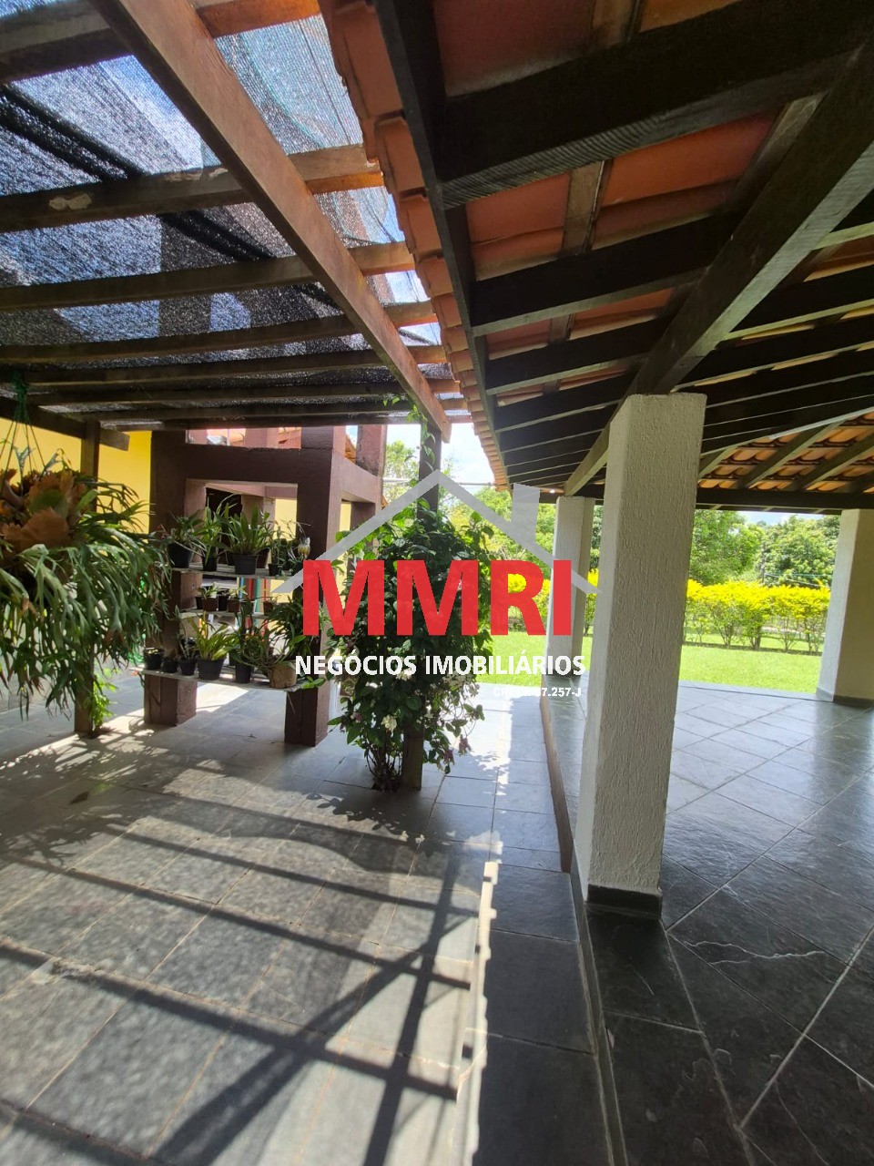 Sítio, 2 hectares - Foto 14