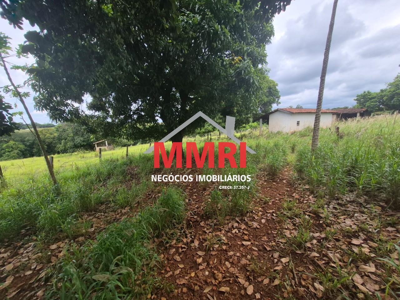 Terreno, 2 hectares - Foto 7