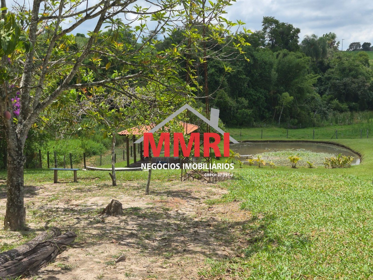 Sítio, 2 hectares - Foto 11