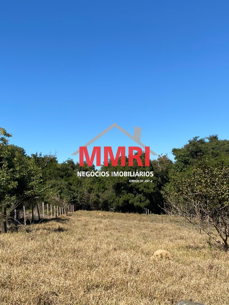 Terreno, 1082 m² - Foto 4