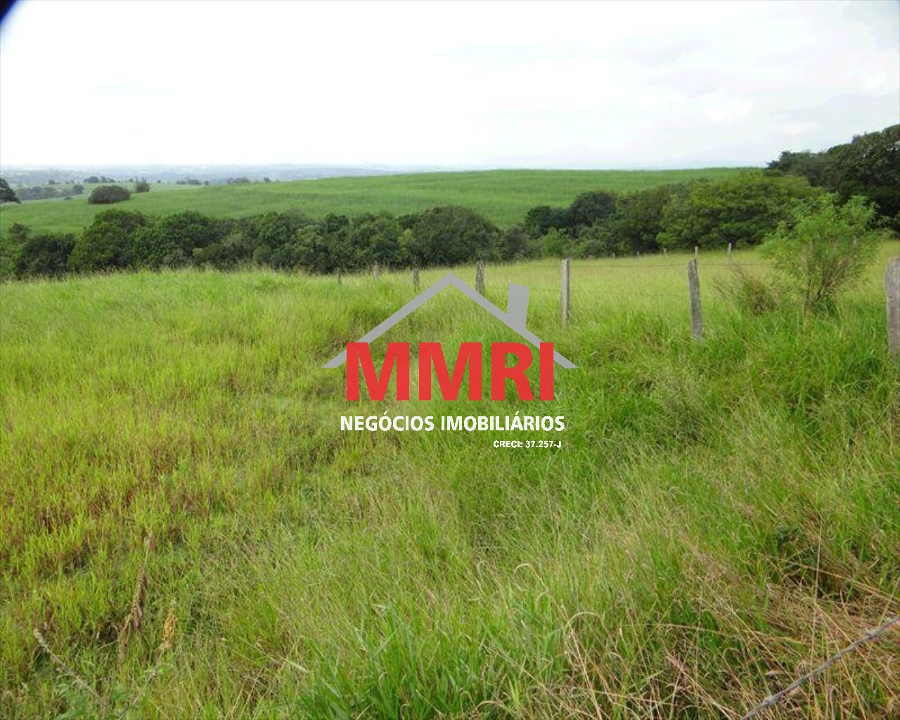 Terreno, 5463 m² - Foto 4