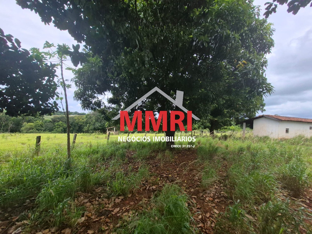 Terreno, 2 hectares - Foto 2