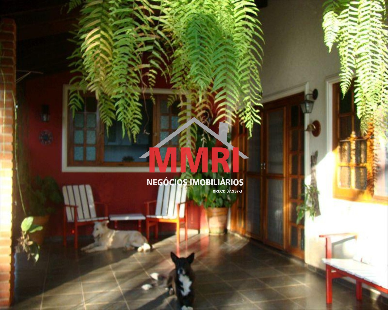 Chácara, 3 quartos, 2000 m² - Foto 7