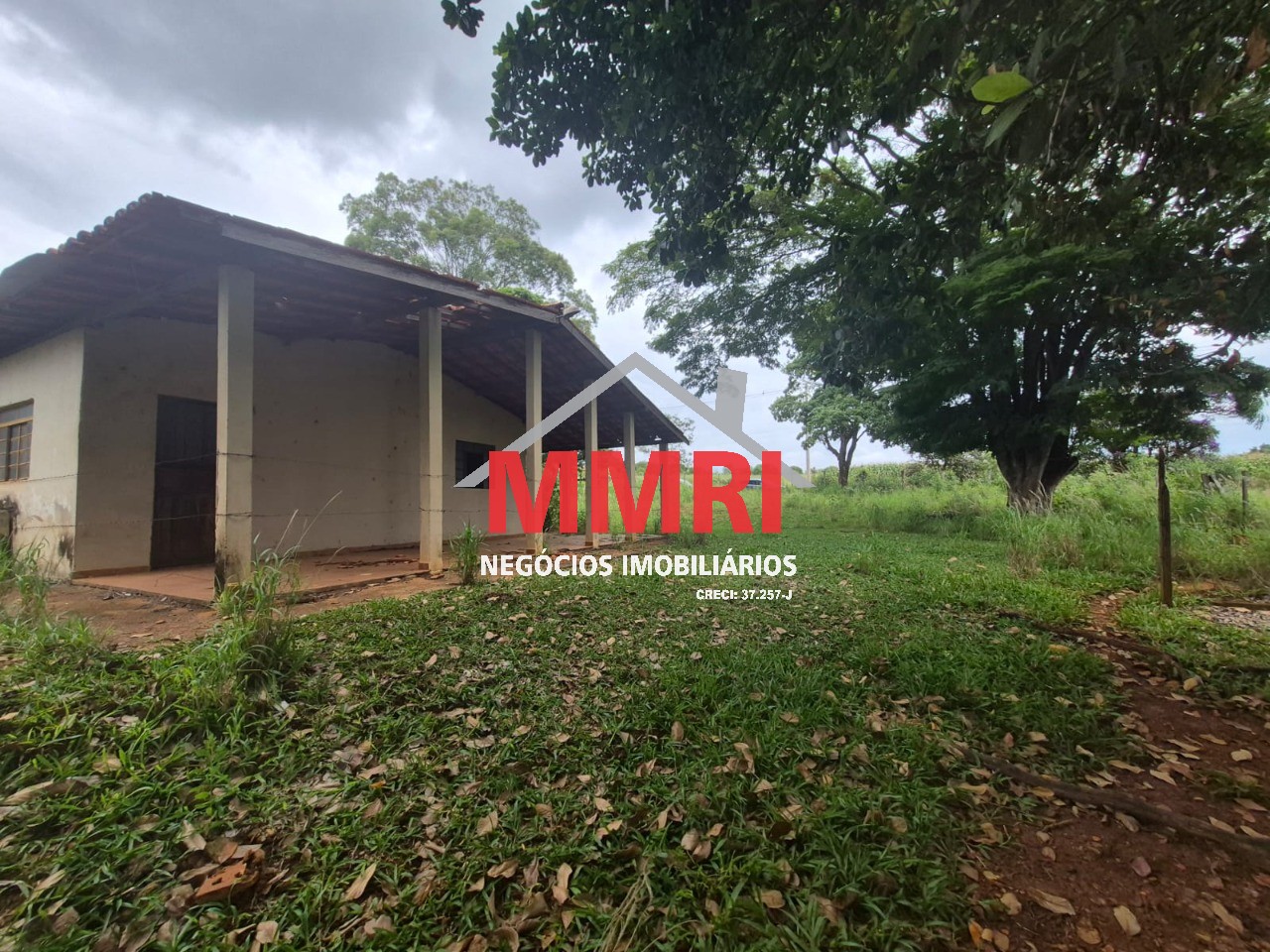 Terreno, 2 hectares - Foto 6