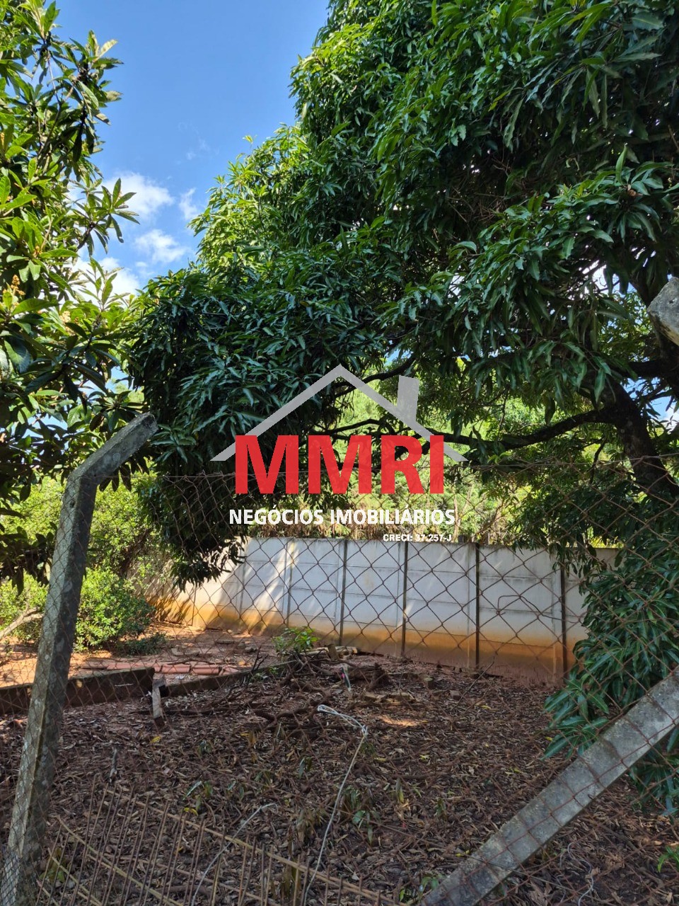 Chácara, 2 quartos, 1000 m² - Foto 15