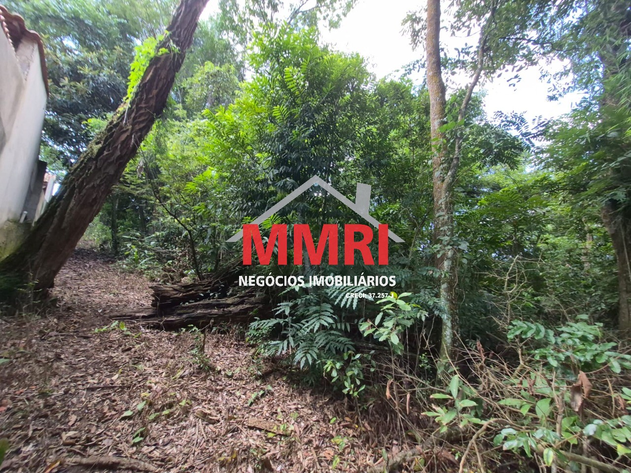 Terreno, 1400 m² - Foto 4