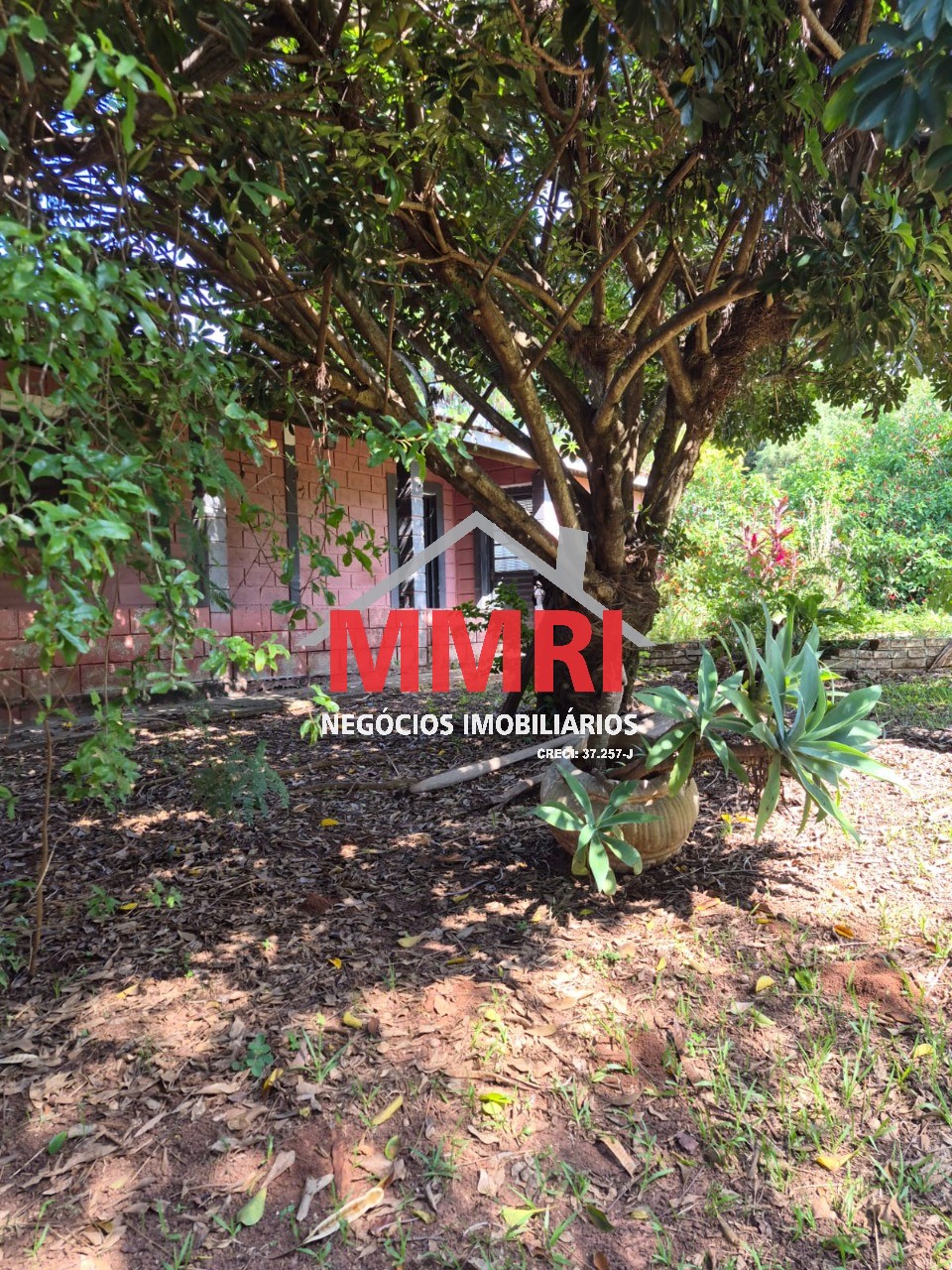 Chácara, 2 quartos, 1000 m² - Foto 48