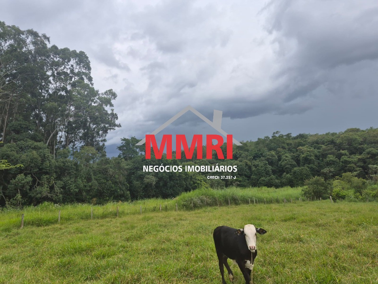 Terreno, 7000 m² - Foto 4