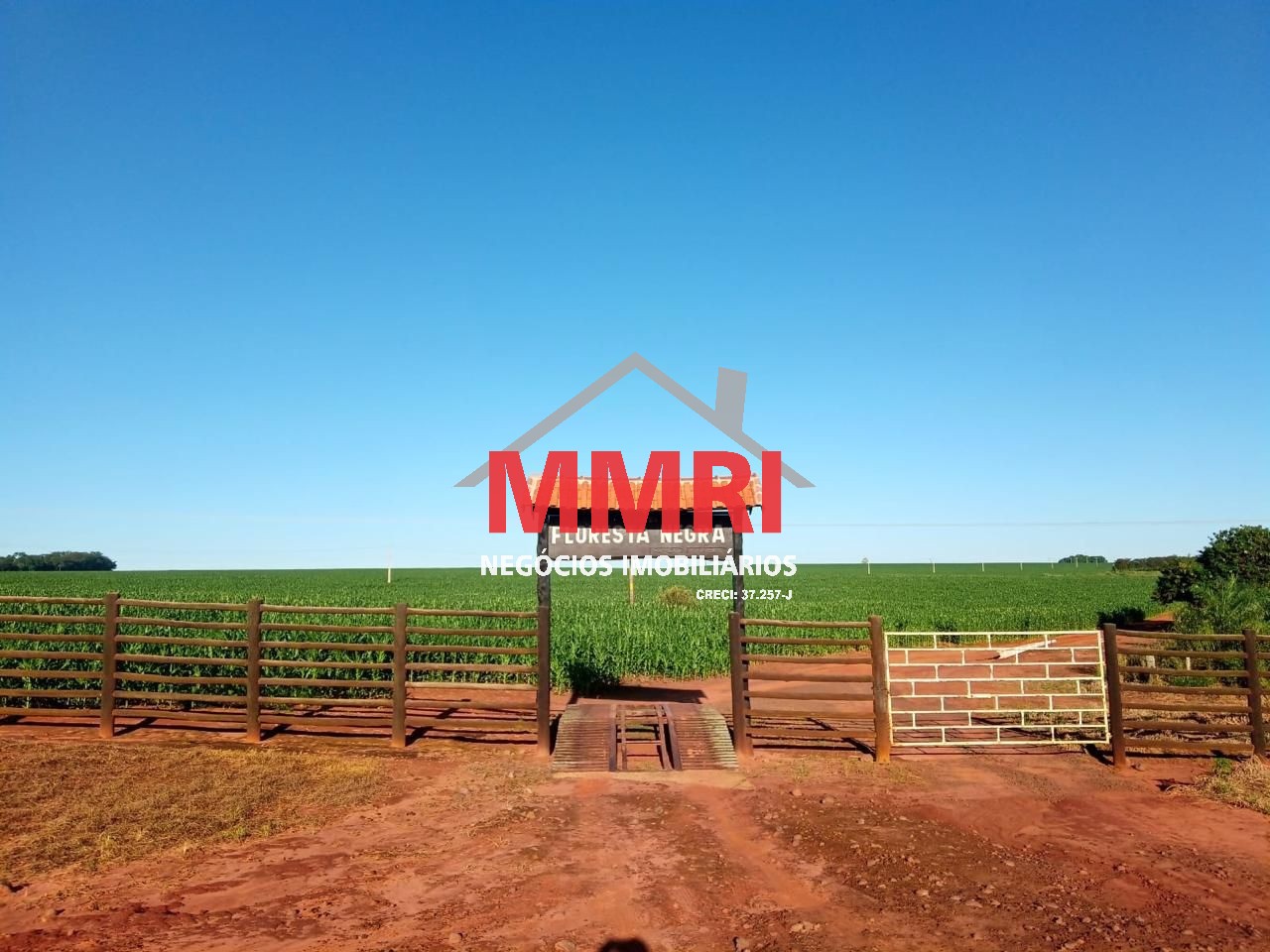 Fazenda - Foto 7