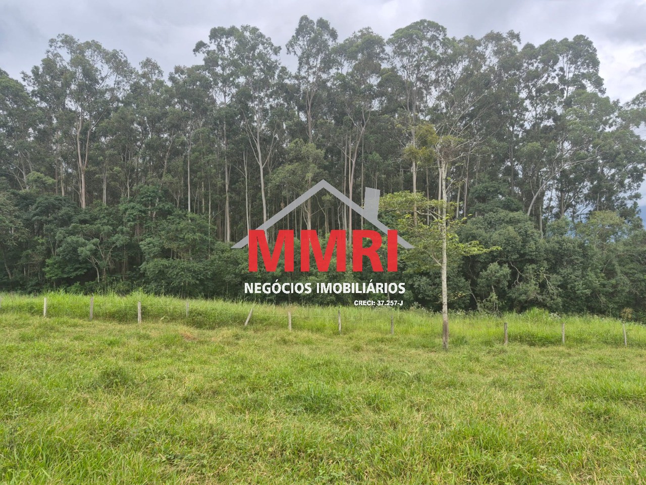 Terreno, 7000 m² - Foto 1