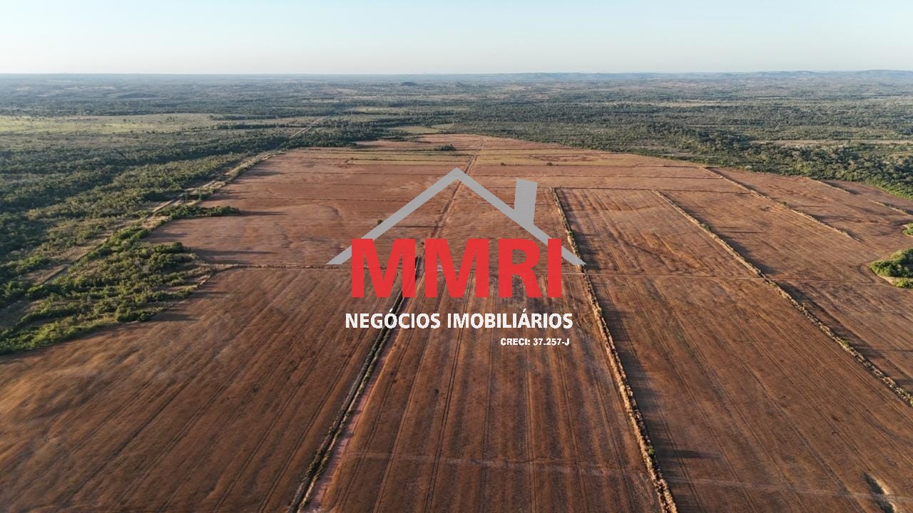 Fazenda - Foto 15