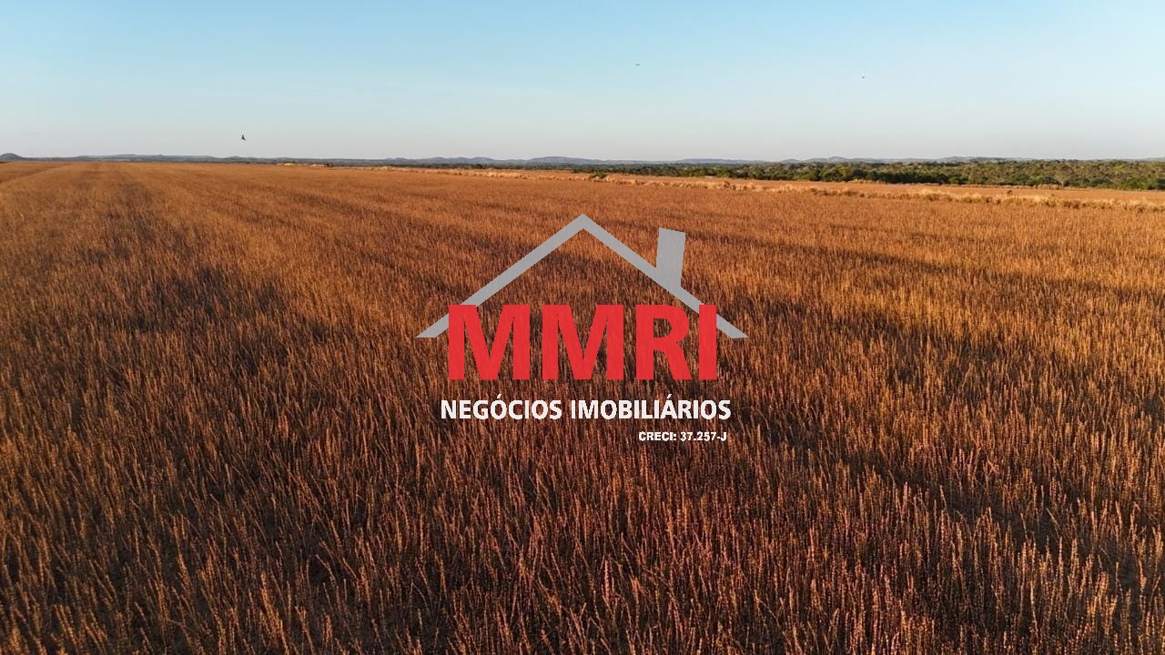 Fazenda - Foto 20