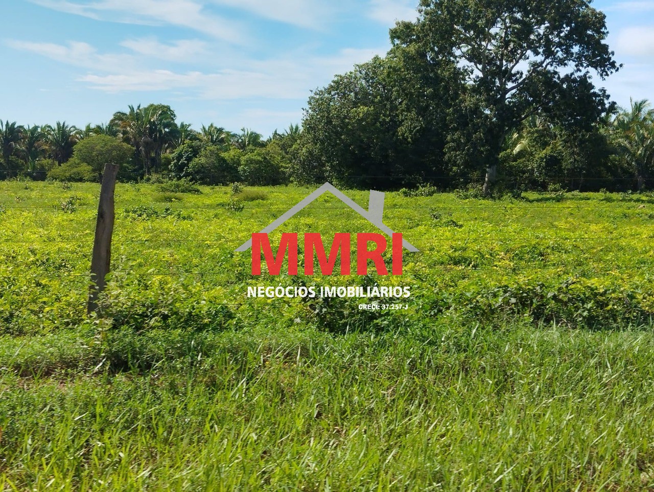 Fazenda, 3625 m² - Foto 10