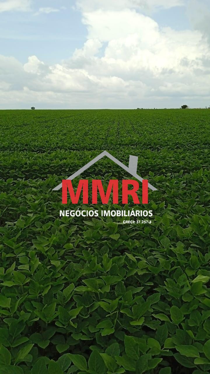 Fazenda - Foto 17