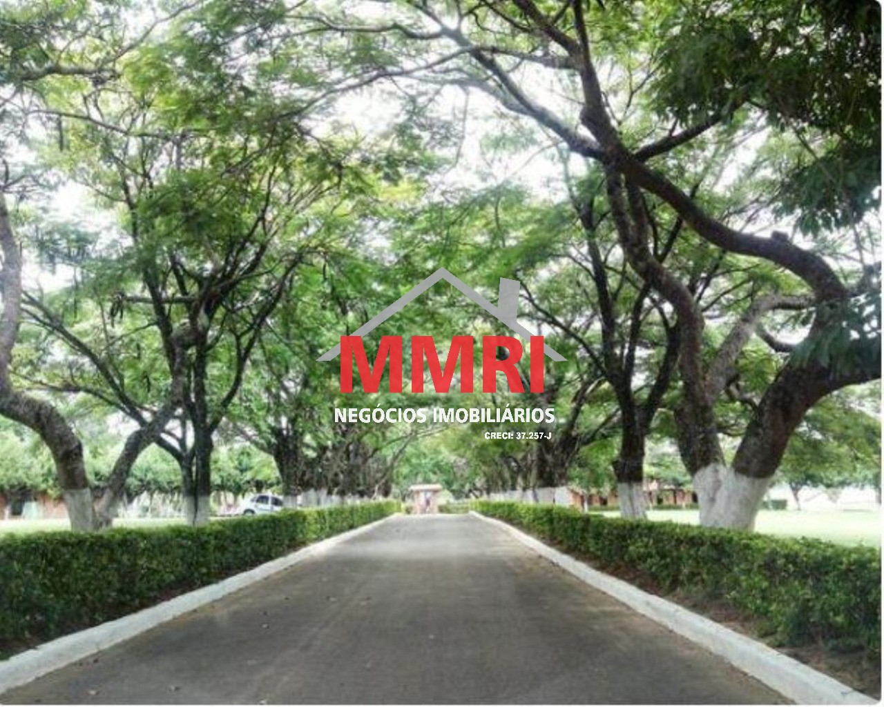 Terreno, 800 m² - Foto 4
