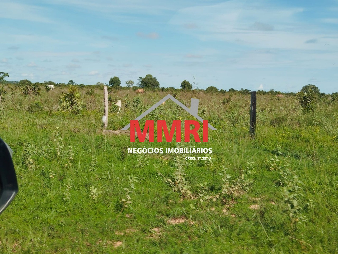 Fazenda, 1620 m² - Foto 6