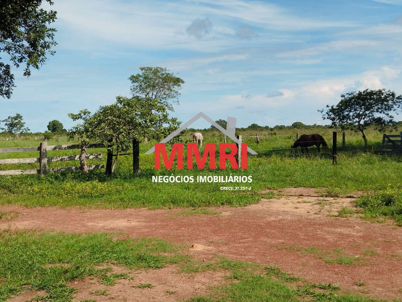 Fazenda, 1620 m² - Foto 11