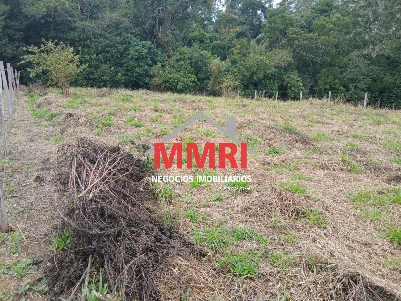 Fazenda, 1000 m² - Foto 6