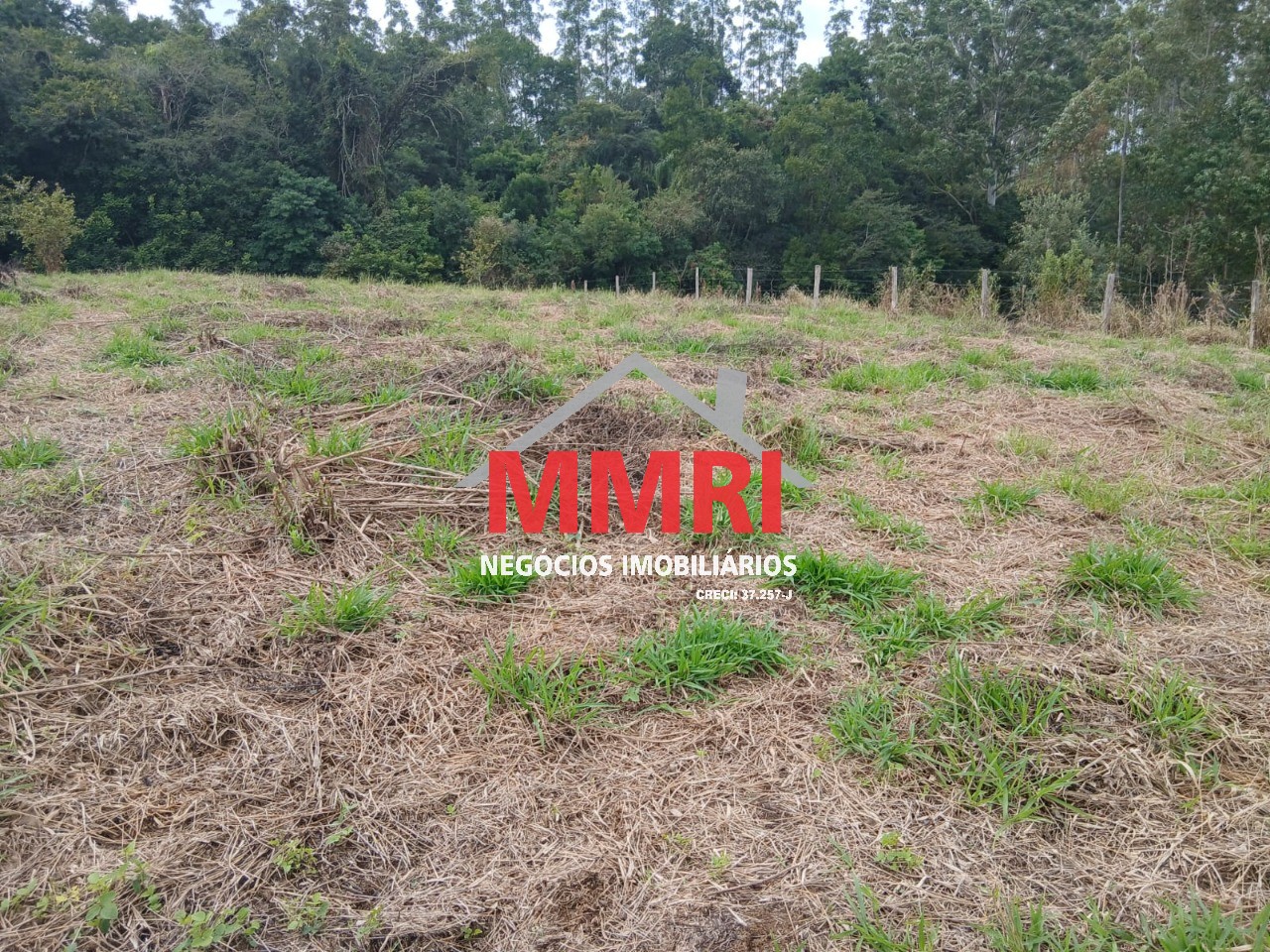 Fazenda, 1000 m² - Foto 11