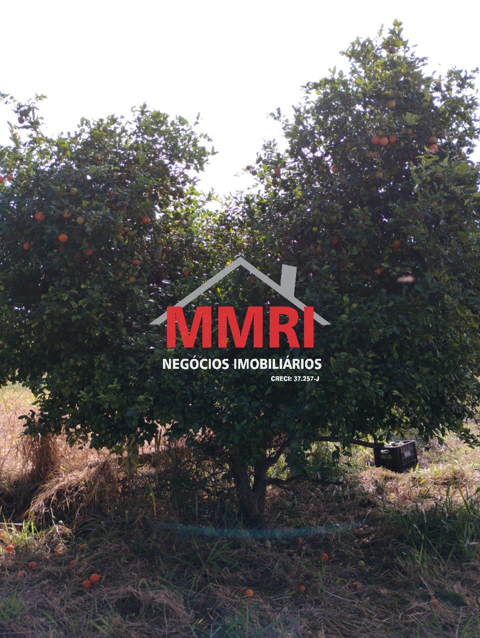 Terreno, 1000 m² - Foto 19