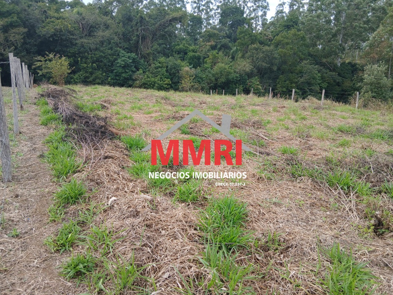 Fazenda, 1000 m² - Foto 15