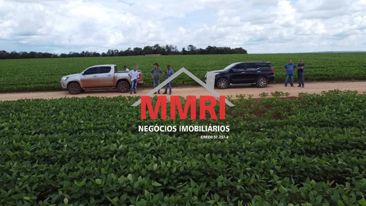 Fazenda - Foto 17