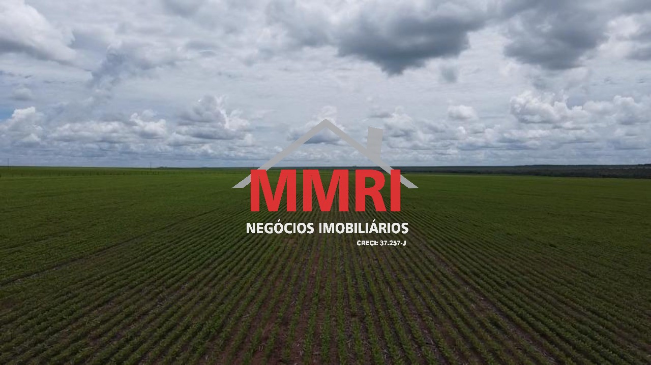 Fazenda - Foto 6