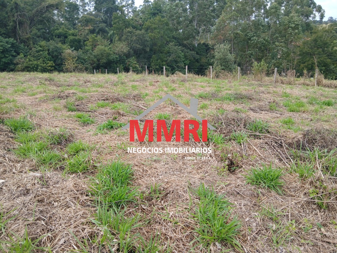 Fazenda, 1000 m² - Foto 12