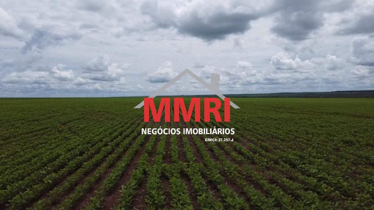 Fazenda - Foto 8