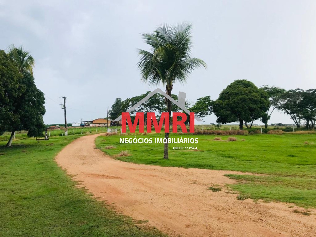 Fazenda - Foto 5