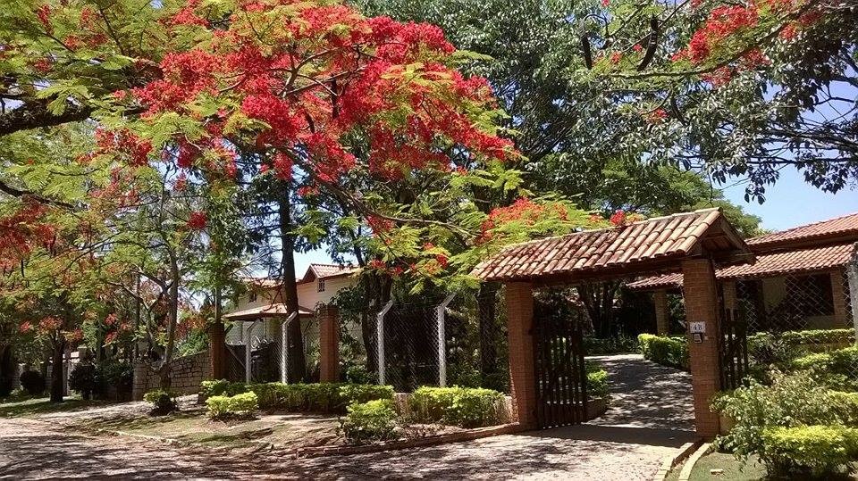 Chácara à venda com 3 quartos - Foto 2