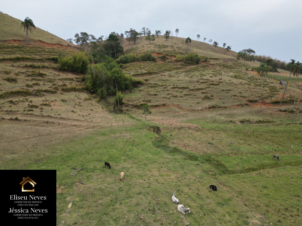 Terreno à venda, 290000m² - Foto 8